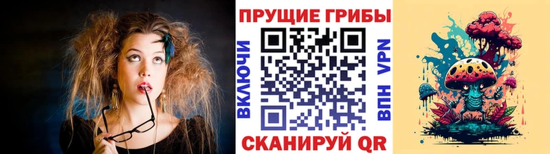 Галлюциногенные грибы мицелий mega рабочий сайт Юрьев-Польский